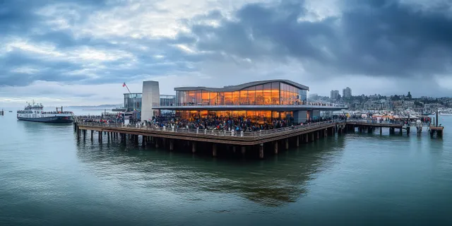 Aerial view shows a waterfront pier with marina docks, sea lions near the rails, and city skyline under storm clouds.