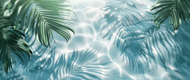 Palm leaf shadows ripple across sunlit water surface in tropical beach top-view