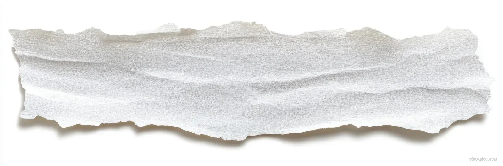 Torn strip of white paper on a minimal background with soft natural light and gentle shadows.