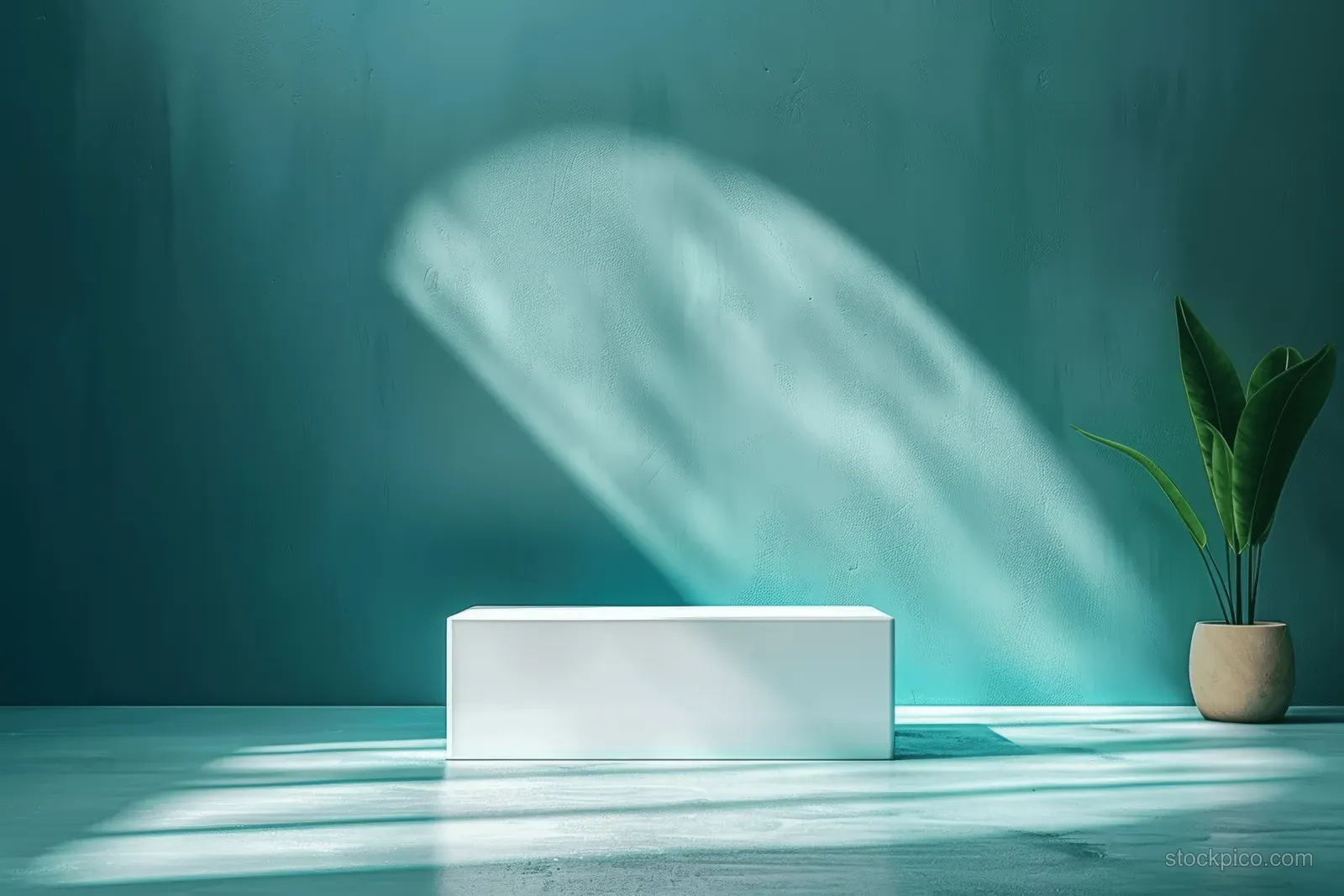 White cube on a teal surface with soft abstract shadows and a small potted plant in the background.