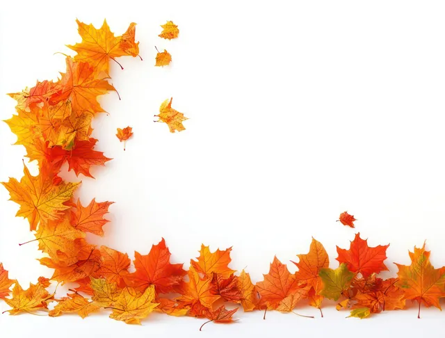 Autumn leaves swirling across white background, orange and yellow foliage in midair