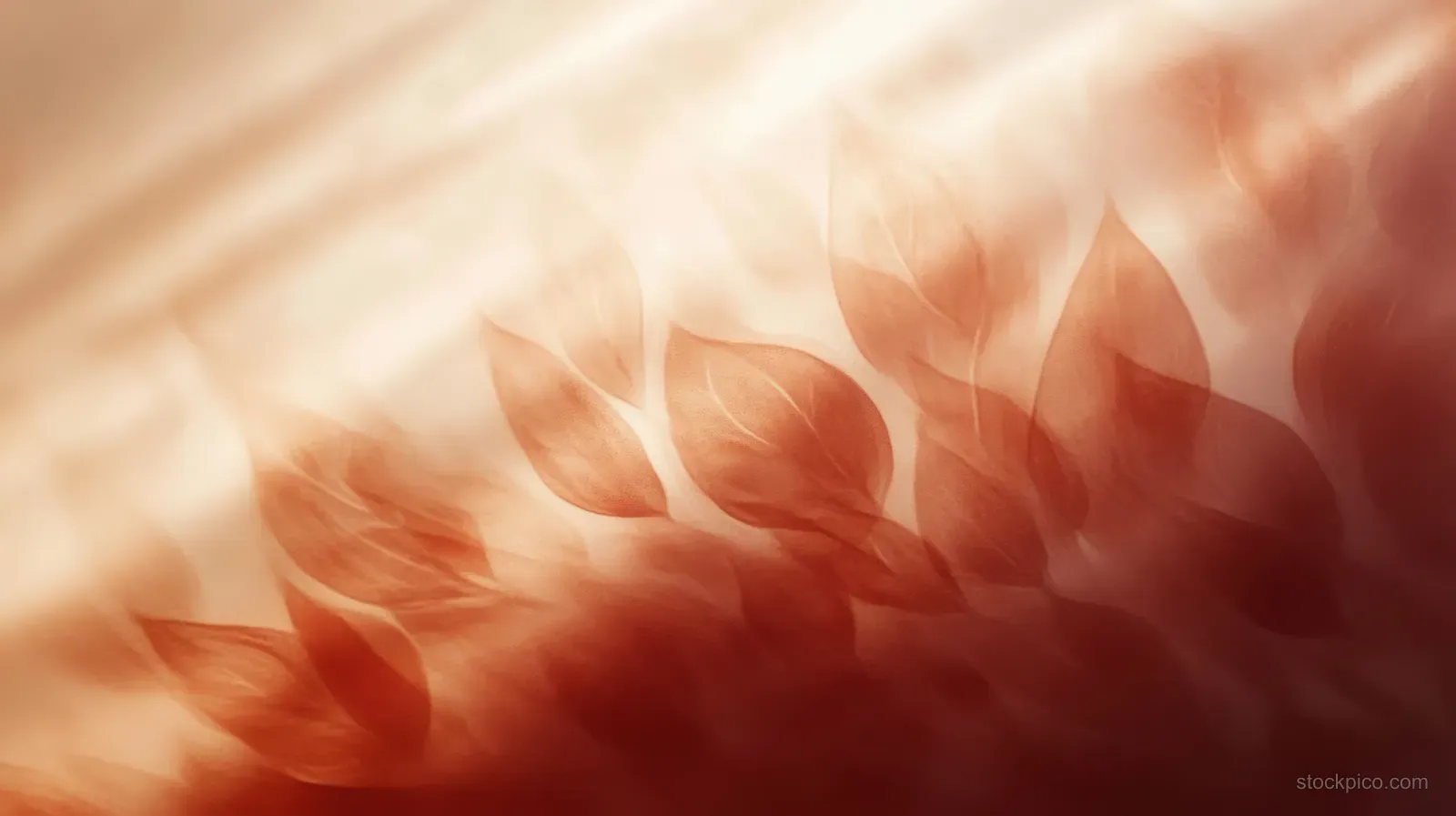 Semi-transparent reddish leaf shapes overlap over a soft warm light and shadow gradient background.