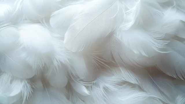 Close-up of layered soft white feathers creating a calm airy background