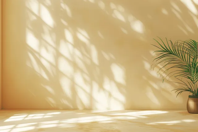Sunlit beige room corner with window shadow pattern on the floor and a small potted plant on the right.