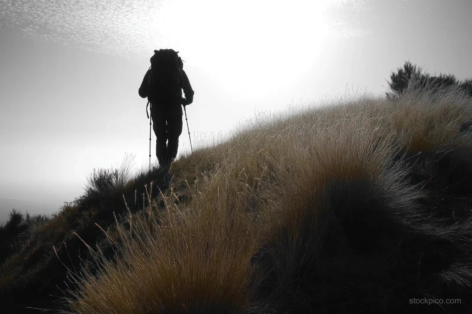 Silhouetted hiker with backpack and trekking poles walking up a grassy hill beneath a bright cloudy sky.