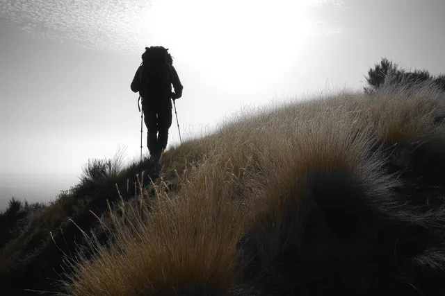 Silhouetted hiker with backpack and trekking poles walking up a grassy hill beneath a bright cloudy sky.