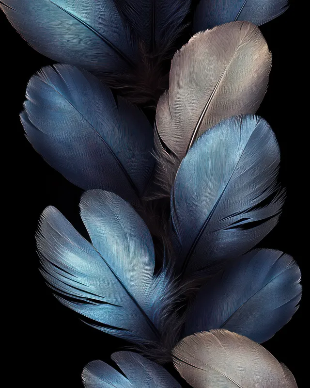 Blue and beige feathers are fanned on a black background, showing fine layered texture and subtle reflections.