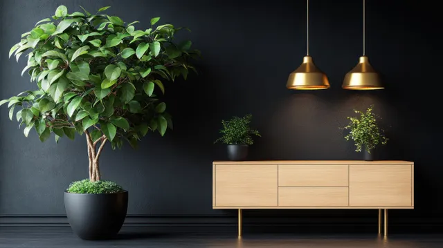 Leafy potted indoor tree beside wooden sideboard under warm pendant lights against black wall