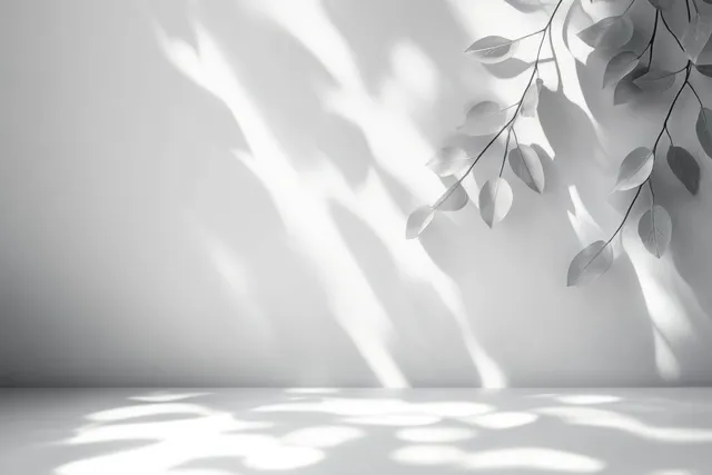 Leaf shadows dance across a white interior wall under soft natural sunlight