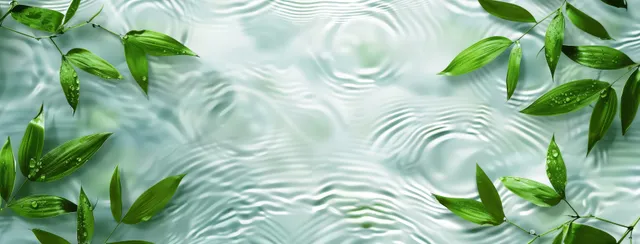 Green bamboo leaves over sunlit water ripples with spa banner copy space background