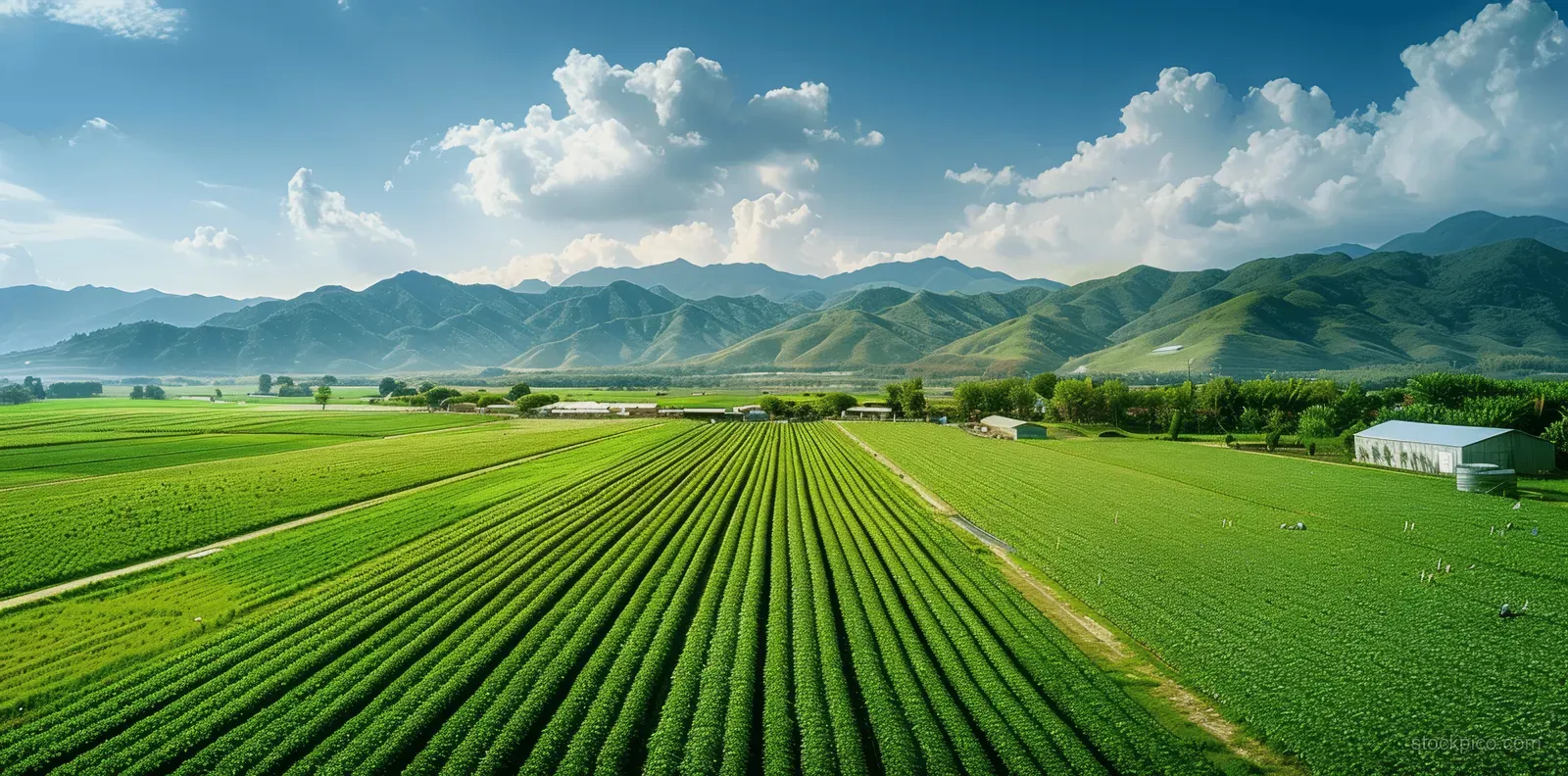 Aerial scene shows green crop rows, farm vehicles and workers near warehouse buildings with mountains in the distance.