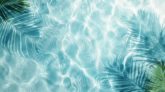 Palm leaf shadows over rippled beach water, sunlit top view abstract texture