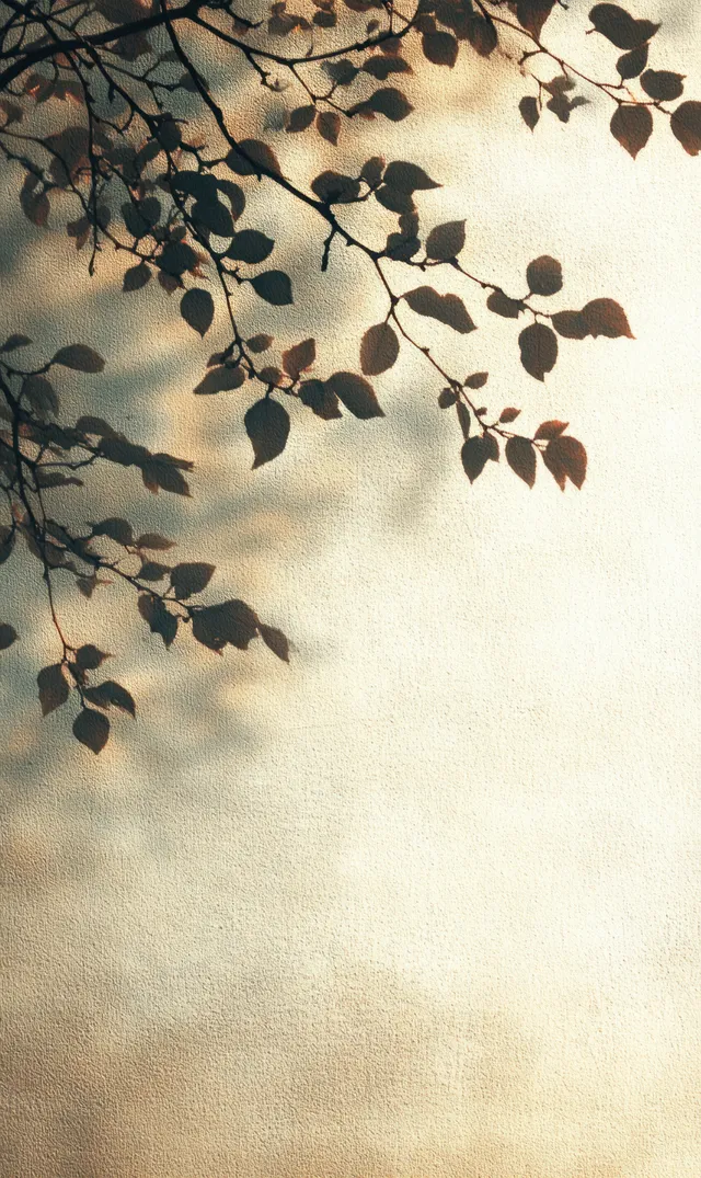 Leafy branches cast soft shadow patterns on a cream textured wall under gentle sunlight.