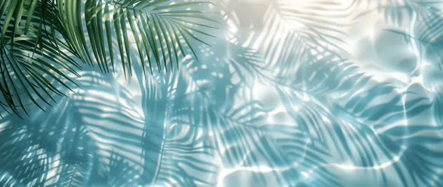 Palm leaf shadows stretch across clear blue water with sunlit reflections and gentle ripples.