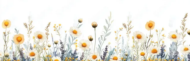 Watercolor border of chamomile and daisy wildflowers with light blue meadow background washes and fine stems.