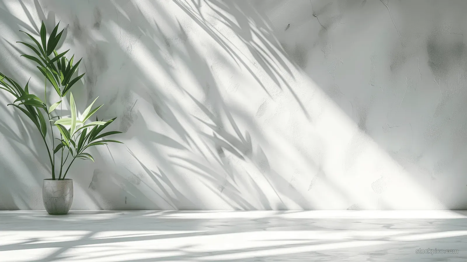 Sunlight filters through plant leaves, casting crisp leaf shadows on a white wall with an empty product display area.