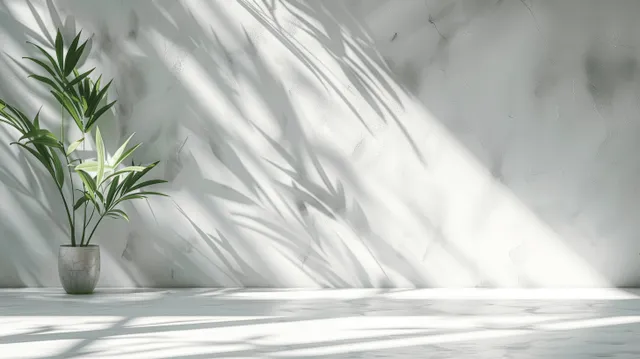 Sunlight filters through plant leaves, casting crisp leaf shadows on a white wall with an empty product display area.