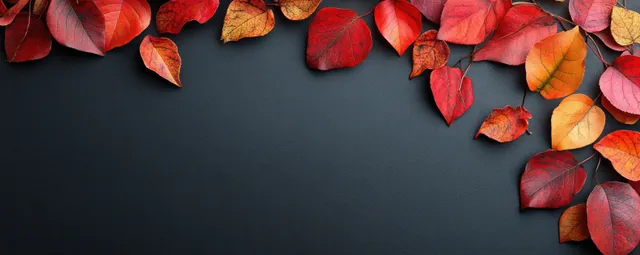 Red and orange autumn leaves scattered along the edges of a dark background with empty space in the center.