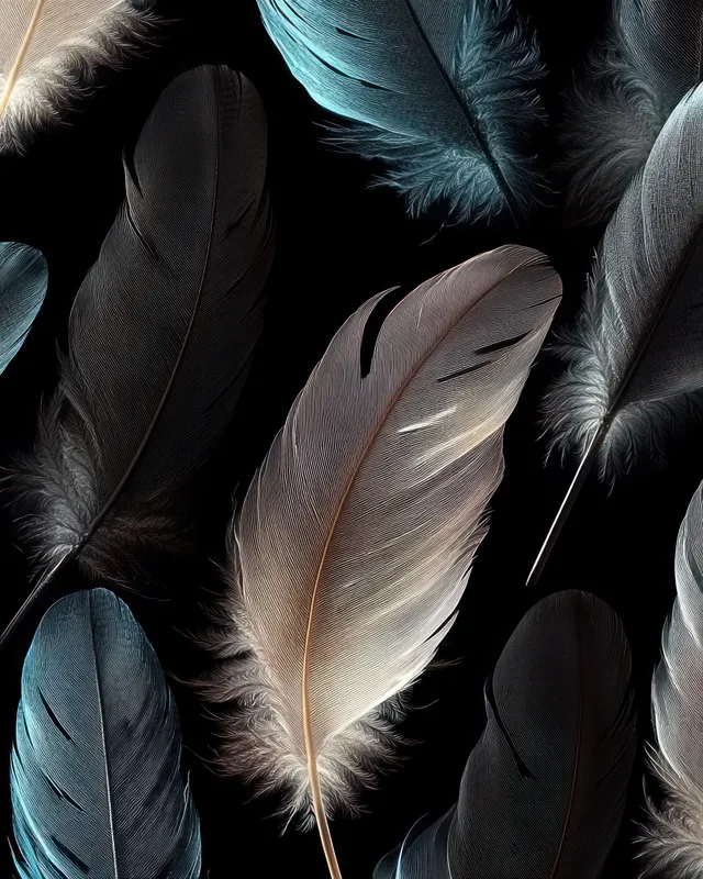 Close-up of delicate bird feathers showcasing fine structure, gentle curves, and soft light against a dark background.