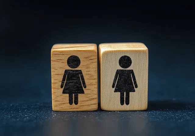 Two wooden blocks displaying women restroom gender icons side by side on a dark surface.