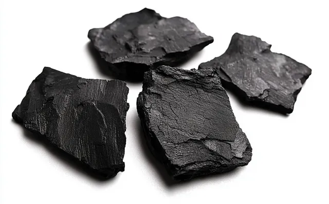 Four irregular black shale rock fragments on a white background with rough matte texture