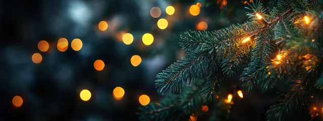 Evergreen pine branches with warm fairy lights glow against a softly blurred evening city bokeh background.
