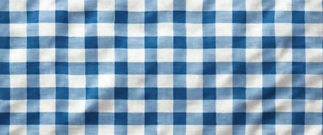 Blue and white gingham checkered fabric close-up with soft folds and woven thread texture.