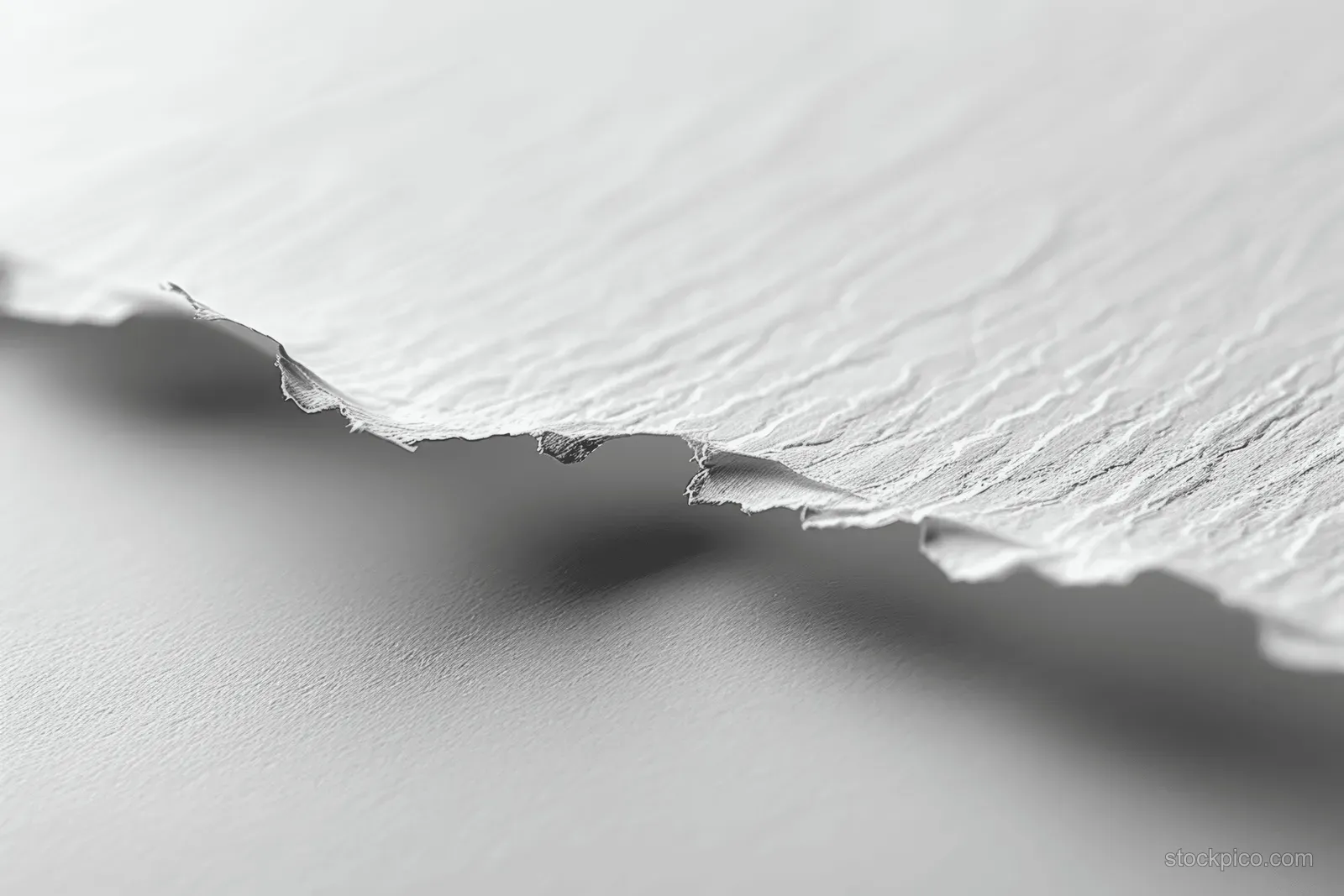 Close-up of torn white craft paper with visible fibers, soft shadowing, and blank copy space.