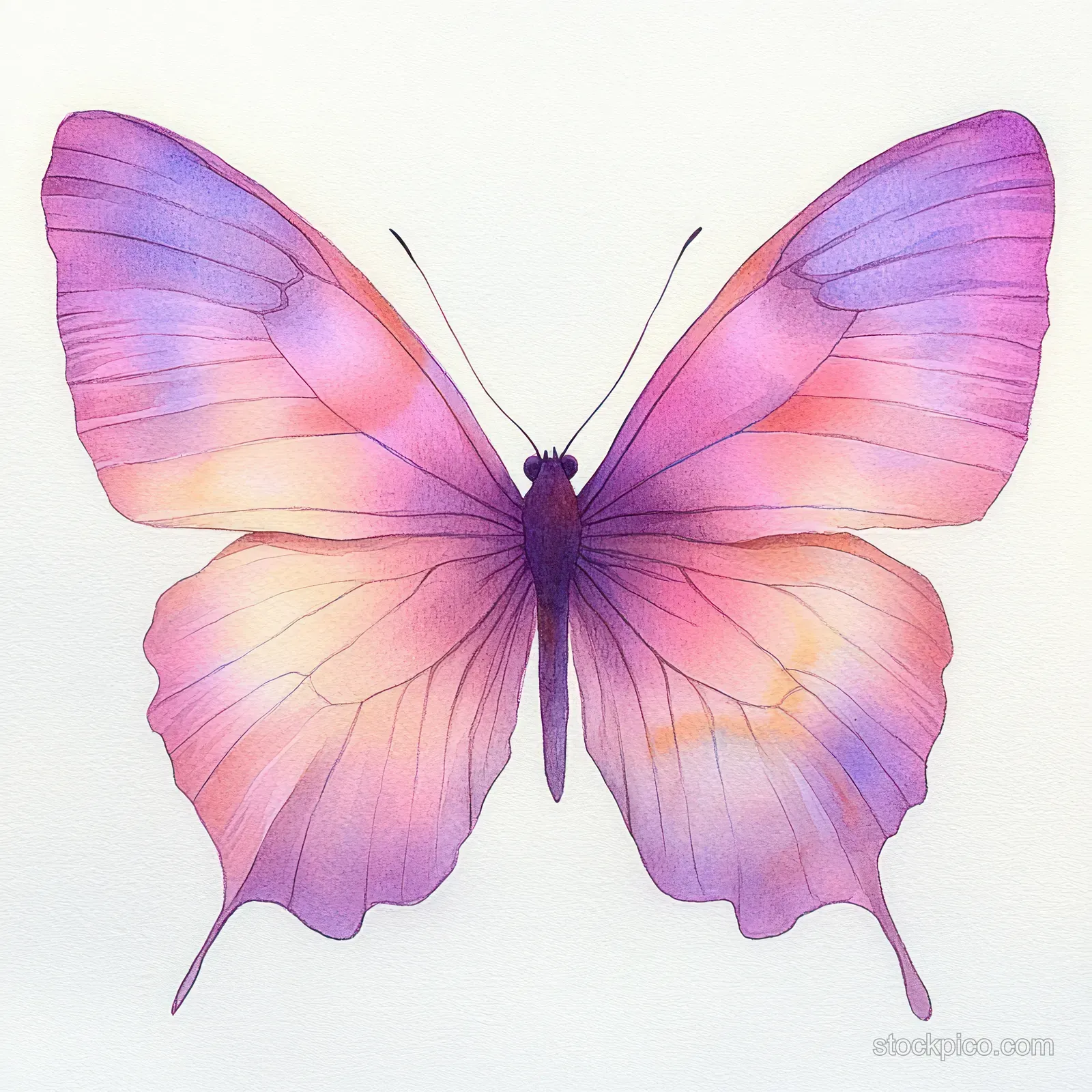 Watercolor butterfly illustration with pink and lavender wings and intricate vein patterns on a white background.