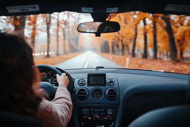 Driver’s hands on the steering wheel with autumn trees visible through the windshield down a quiet road.