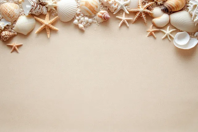 Seashell and starfish border on sandy beach background for summer travel design