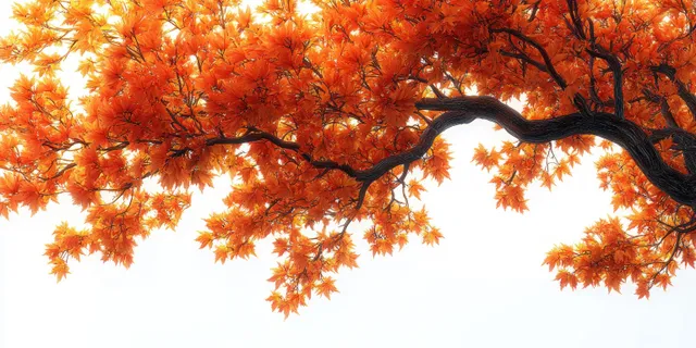 An arched tree branch holds clusters of vibrant orange autumn leaves against a bright white sky.