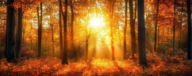 Golden autumn forest path glowing with sunlight beams through towering tree trunks
