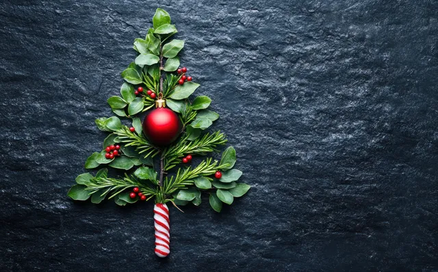 A leaf-made Christmas tree with a red ornament and a striped candy cane on dark textured stone.