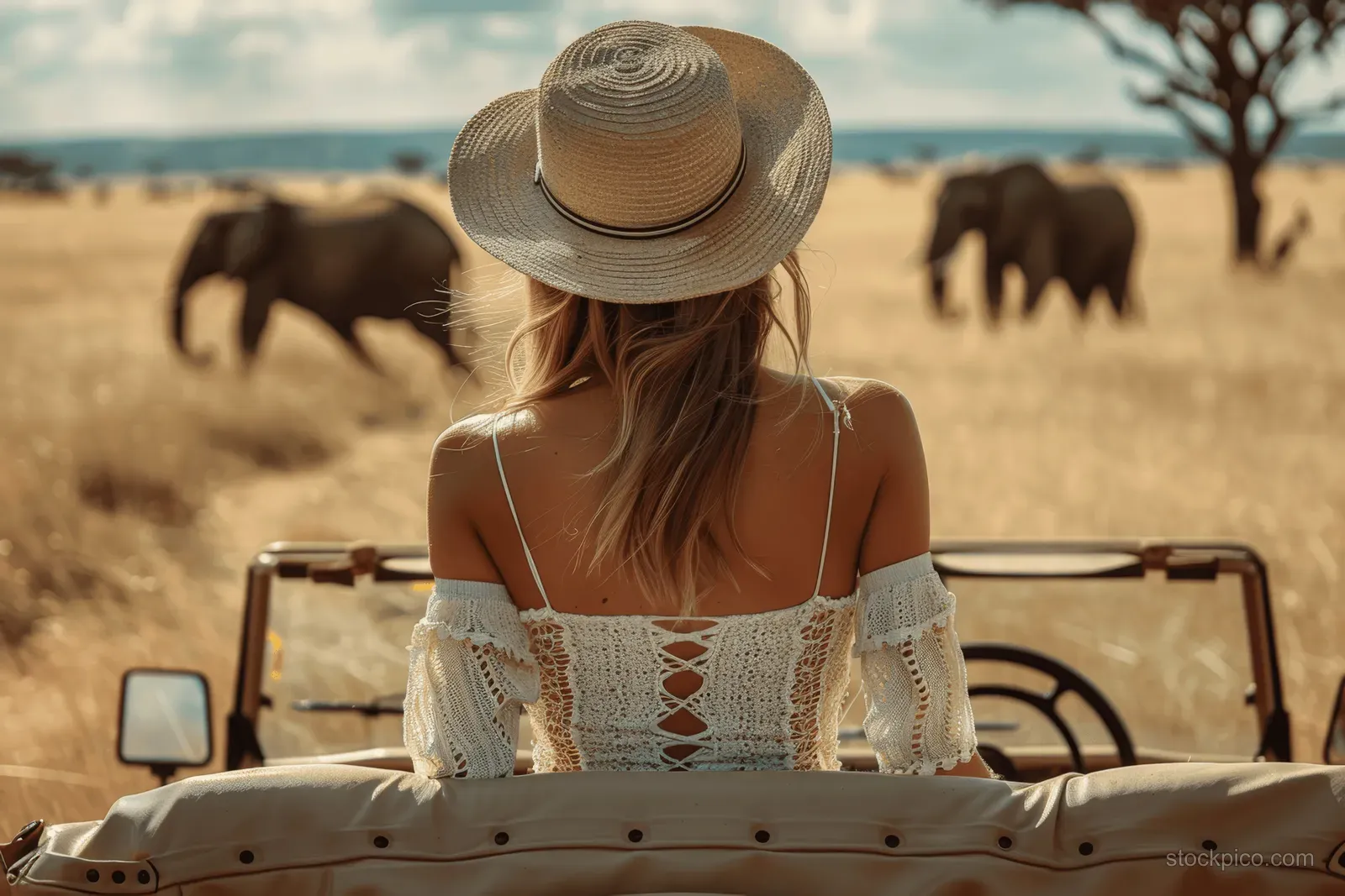A woman in an open jeep watches elephants on the African savanna during a warm golden-hour safari.