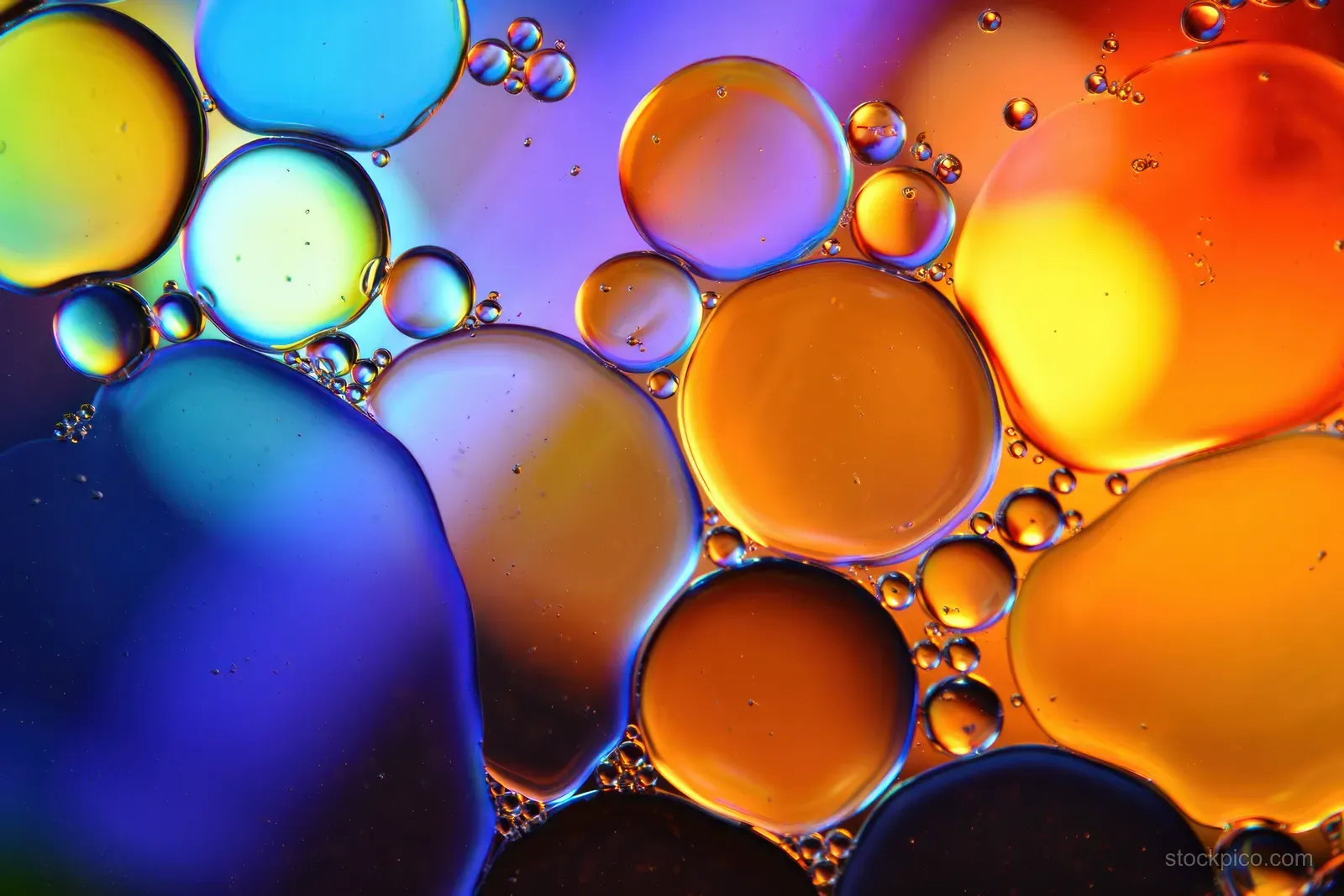 Multicolored oil droplets suspended in water form a glossy abstract pattern with blue, orange, yellow, and purple highlights.