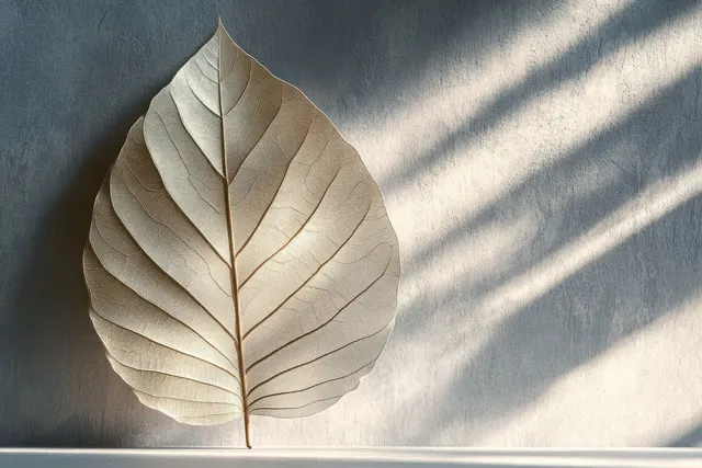 A pale leaf lies on a textured surface with sharp sunlit shadows from the right.