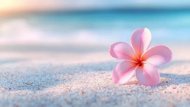 Pink plumeria flower on sandy beach with softly blurred ocean horizon behind