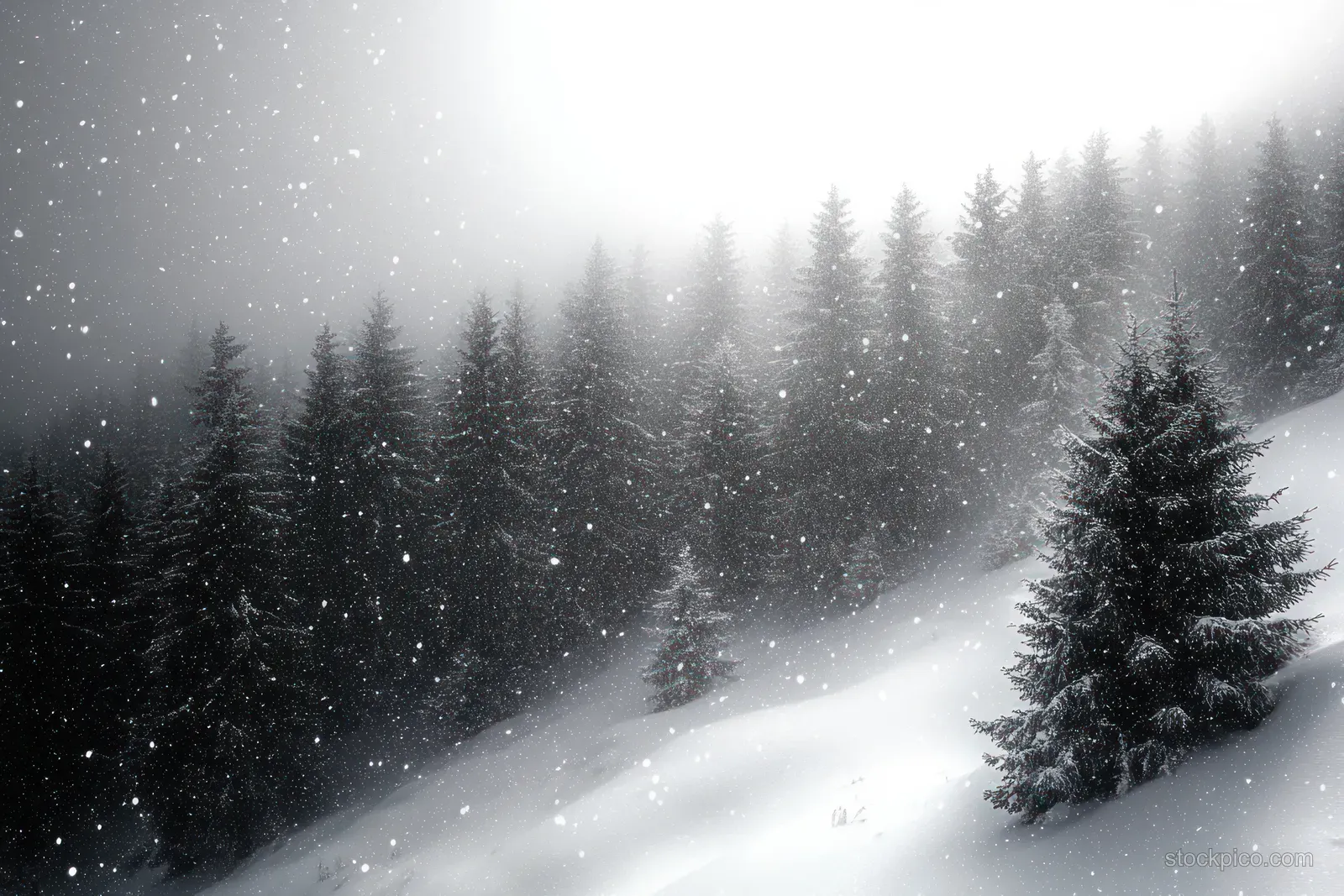 Snowflakes fall over foggy evergreen trees on a snowy mountain forest slope.