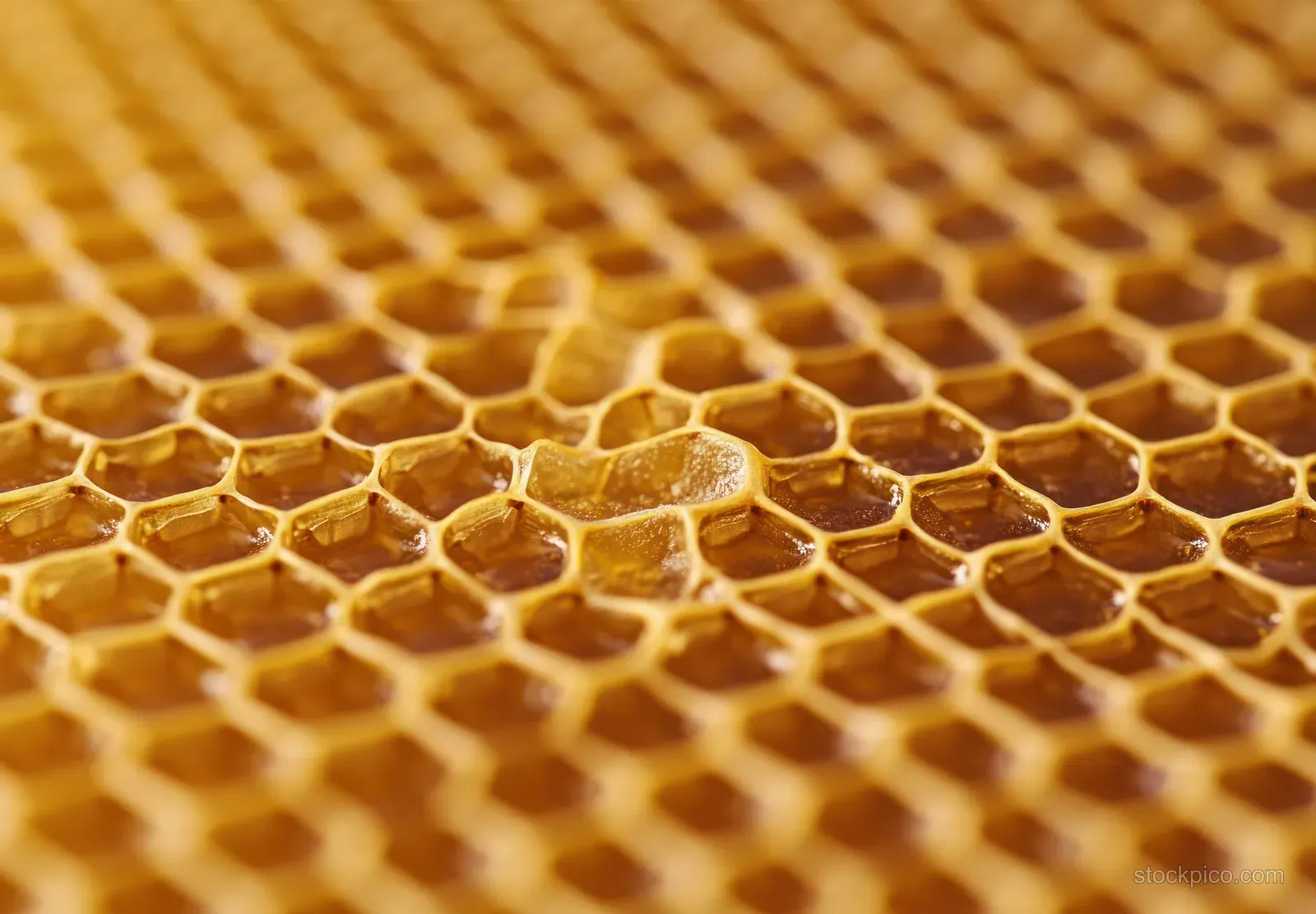 Macro view of a honeycomb with golden honey filling hexagonal wax cells and reflecting warm light.