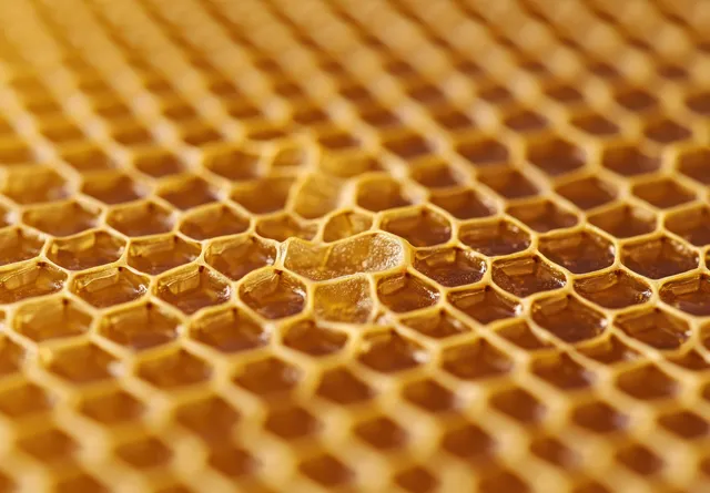 Macro view of a honeycomb with golden honey filling hexagonal wax cells and reflecting warm light.