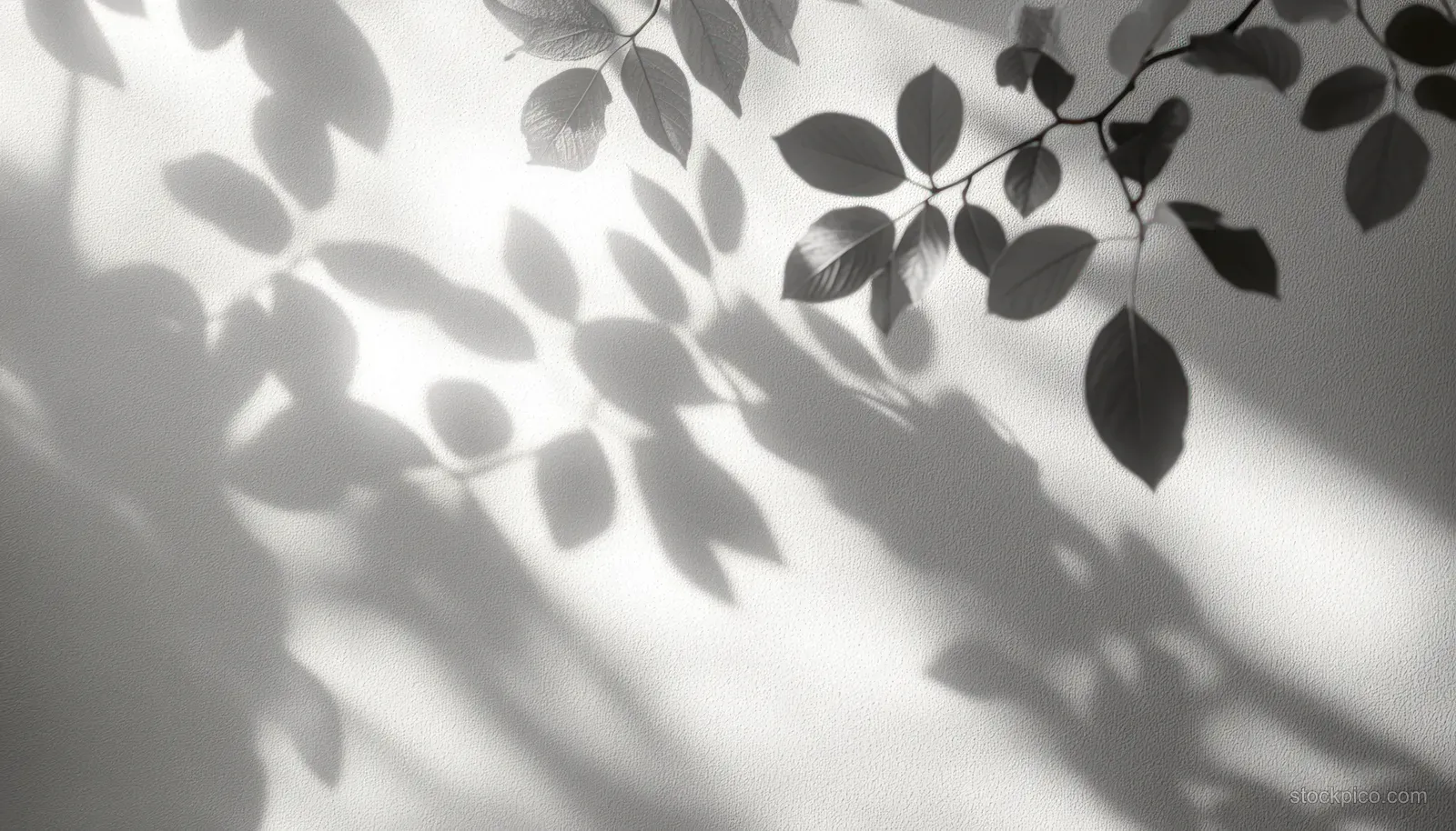 Leaf-shaped shadows and silhouettes stretch across a textured white wall in soft daylight.