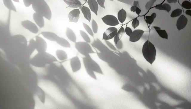 Leaf silhouettes cast patterned shadows across a textured white wall in soft daylight