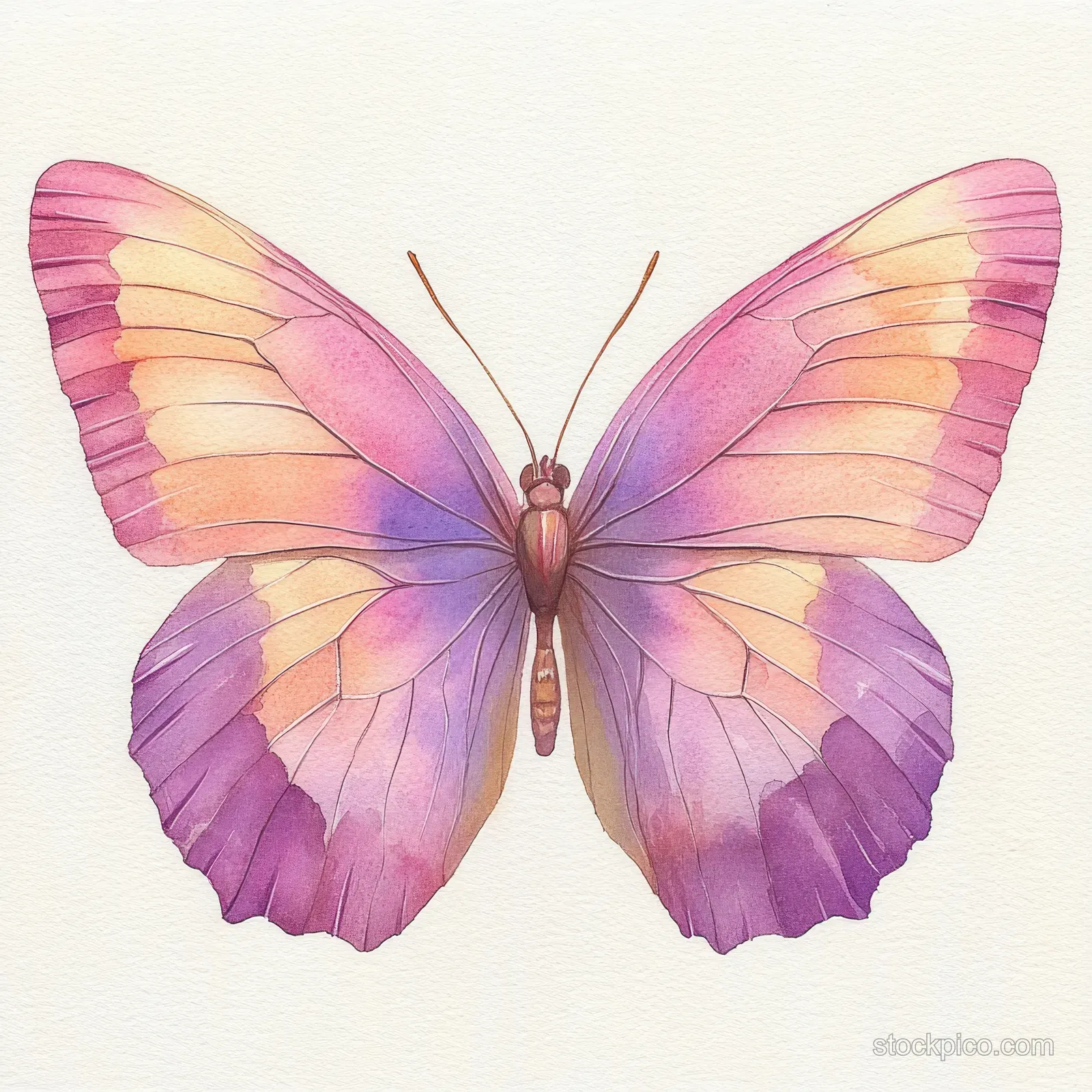 A watercolor butterfly with pink and lavender wings spread on pale paper with visible wing veins.
