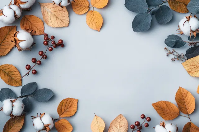 Autumn flat lay circle of cotton bolls and berries on soft gray background