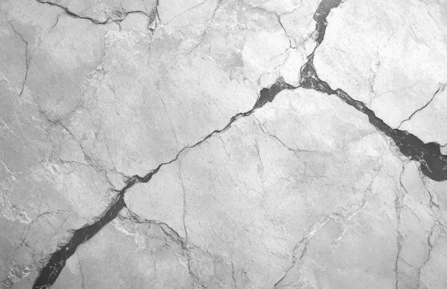 Close-up of a gray cracked concrete slab with branching fractures and rough stone-like texture.