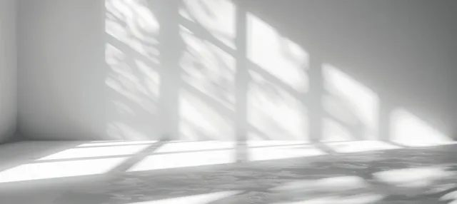 Sunlit window shadows cast on white wall, minimal interior backdrop with soft light gradients