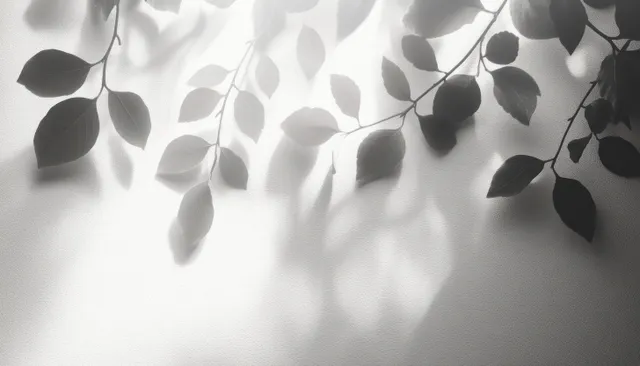 Leafy branches cast soft shadows on a textured white wall in a calm monochrome scene.