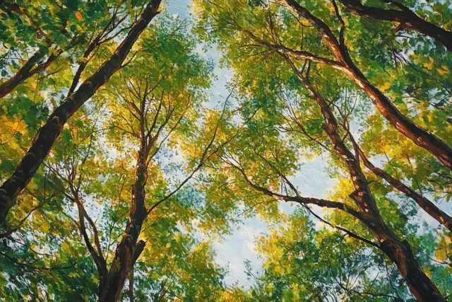 Low-angle view of leafy spring branches with sunlight filtering through the green canopy.