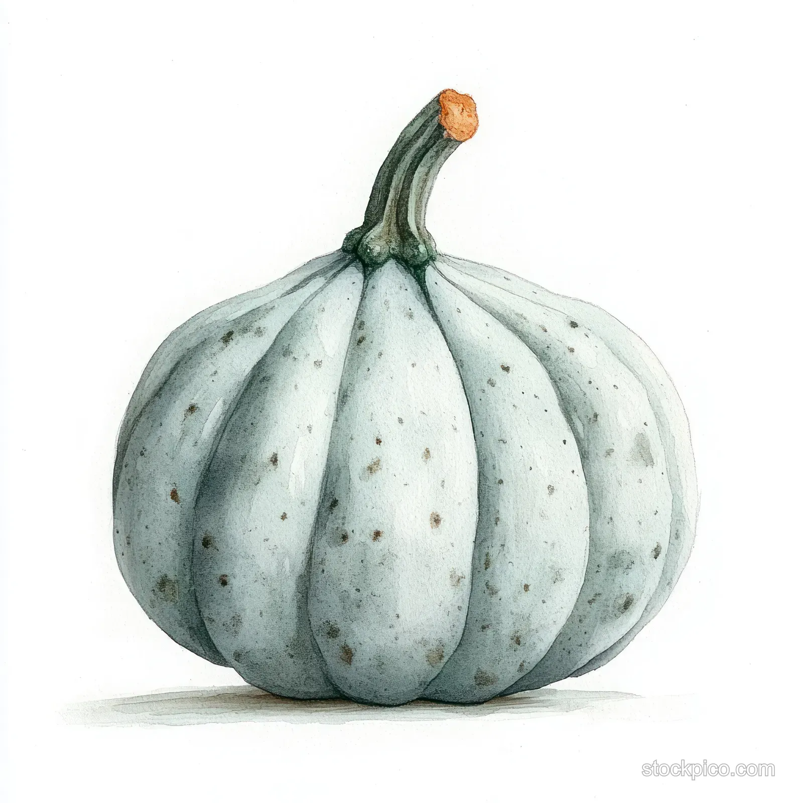 Single pale blue-gray pumpkin with speckled segments and a short stem on a white background.